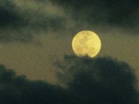 Fot�: flickr
