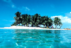 Pic from concierge.com